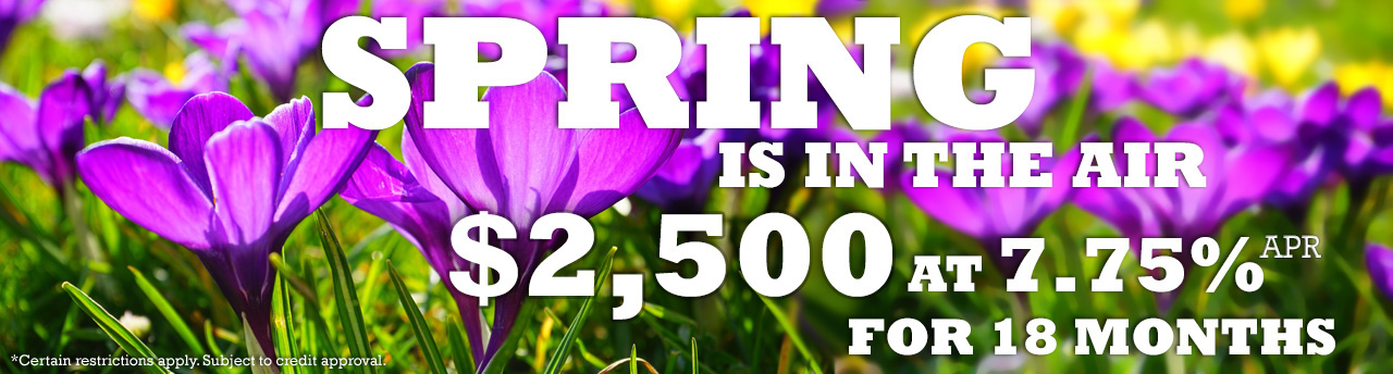 Spring Special 2023
